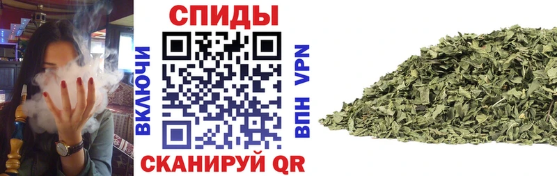 ссылка на мегу сайт  Суворов  Бутират BDO 33% 